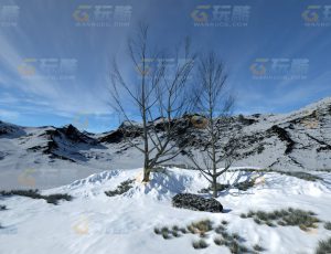 玩酷CG网—大雪地C4D模型