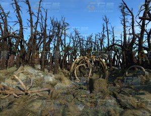 玩酷CG网—动物尸骨林C4D模型