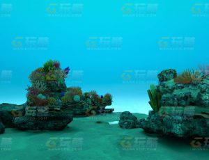 玩酷CG网—海底礁堡C4D模型