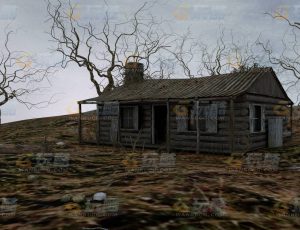 玩酷CG网—荒林木屋C4D模型