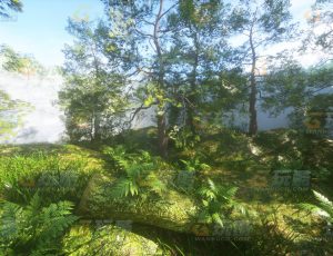 玩酷CG网—圈森林C4D模型