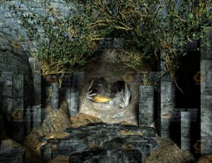 玩酷CG网—石洞C4D模型