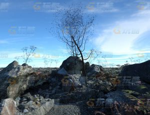 玩酷CG网—石地C4D模型
