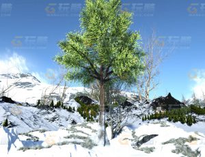 玩酷CG网—雪地林C4D模型