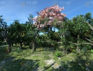 玩酷CG网—神之树C4D模型