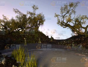 玩酷CG网—夜晚之森C4D模型