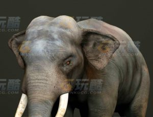 玩酷CG网—大象C4D模型