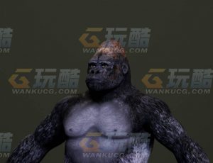 玩酷CG网—大猩猩C4D模型