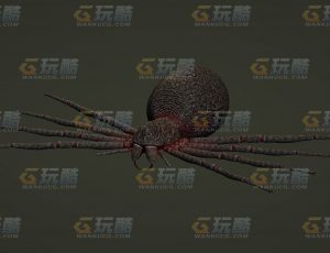 玩酷CG网—大蜘蛛C4D模型