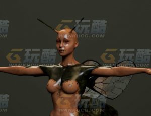 玩酷CG网—毒蜂女C4D模型