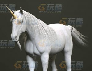 玩酷CG网—独角兽C4D模型