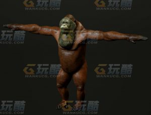 玩酷CG网—红毛猩猩C4D模型