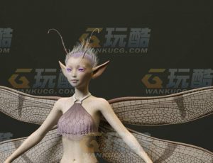 玩酷CG网—蝴蝶精灵C4D模型