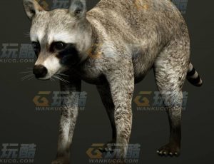 玩酷CG网—浣熊C4D模型