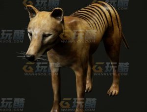 玩酷CG网—狼狗C4D模型