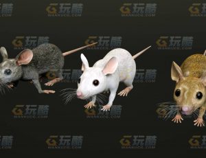 玩酷CG网—老鼠C4D模型