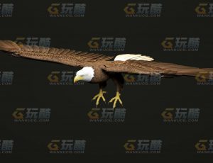 玩酷CG网—老鹰C4D模型