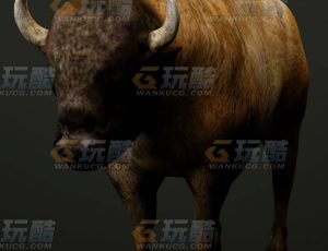 玩酷CG网—牦牛C4D模型