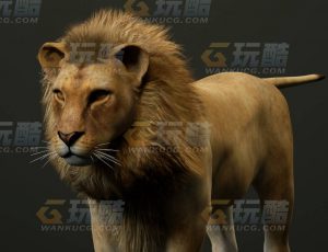 玩酷CG网—狮子C4D模型