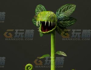玩酷CG网—食人花C4D模型