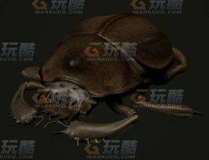 玩酷CG网—屎壳郎C4D模型