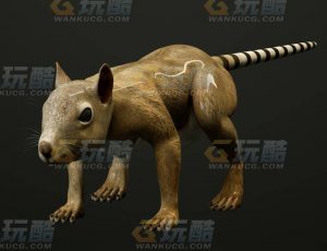 玩酷CG网—松鼠C4D模型