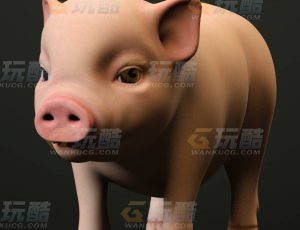 玩酷CG网—小香猪C4D模型