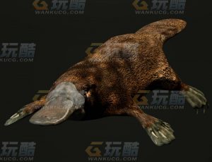 玩酷CG网—鸭嘴兽C4D模型