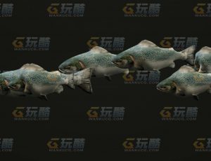 玩酷CG网—鱼群C4D模型