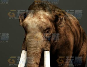玩酷CG网—长毛象C4D模型