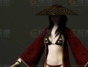 玩酷CG网—流浪女剑客C4D模型