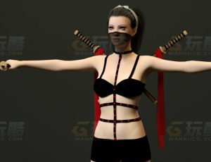 玩酷CG网—双刀女刺客C4D模型