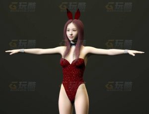 玩酷CG网—兔女郞1C4D模型
