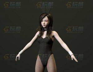玩酷CG网—兔女郞3C4D模型