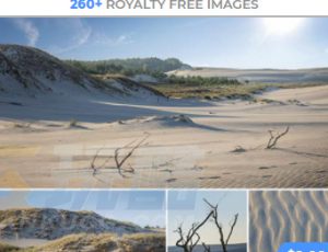 玩酷CG网—308组荒凉沙丘枯萎灌木丛高清参考图片合集