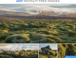 玩酷CG网—545组绿色草原荒野苔藓自然环境高清参考图片合集