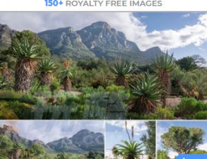 玩酷CG网—154组史前远古茂密植被植物高清参考图片合集