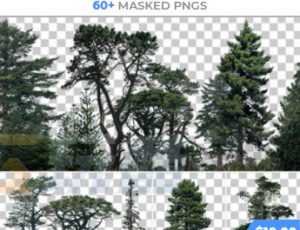 玩酷CG网—80组针叶树木植物高清参考图片合集