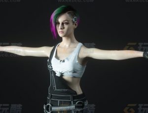 玩酷CG网—赛博朋克2077女角色C4D模型