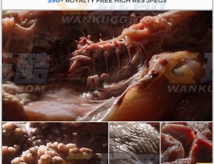 玩酷CG网—395张肉体和皮肤高清参考图片合集