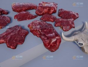玩酷CG网—动物生物内脏器官UE4模型素材