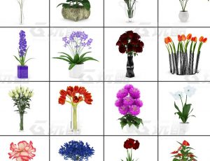 玩酷CG网—花朵盆栽v2C4D模型