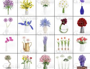 玩酷CG网—花朵盆栽v4C4D模型