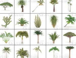 玩酷CG网—树木植被v11C4D模型