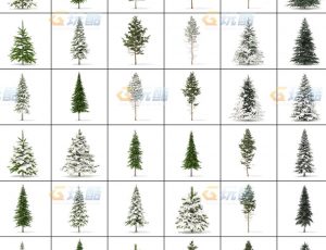 玩酷CG网—冬季植被C4D模型