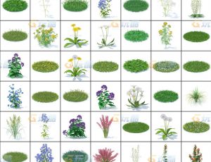 玩酷CG网—草丛花草C4D模型