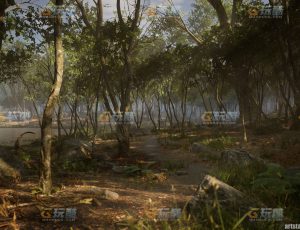 玩酷CG网—森林生物群系统UE4模型工程素材