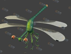 玩酷CG网—生动有趣的蜻蜓Blender模型