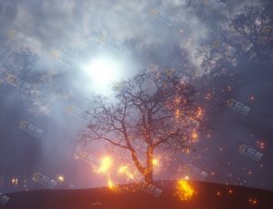火焰粒子枯树林Blender模型