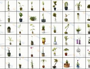 植物盆栽Blender模型